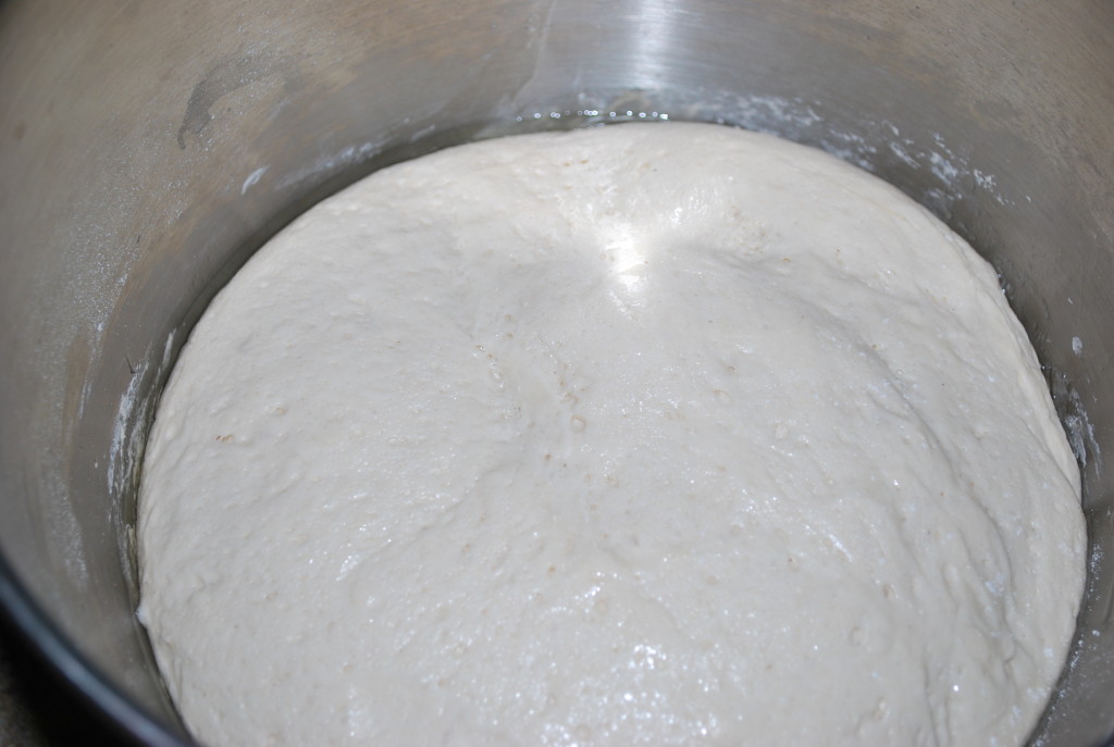 Fully risen dough
